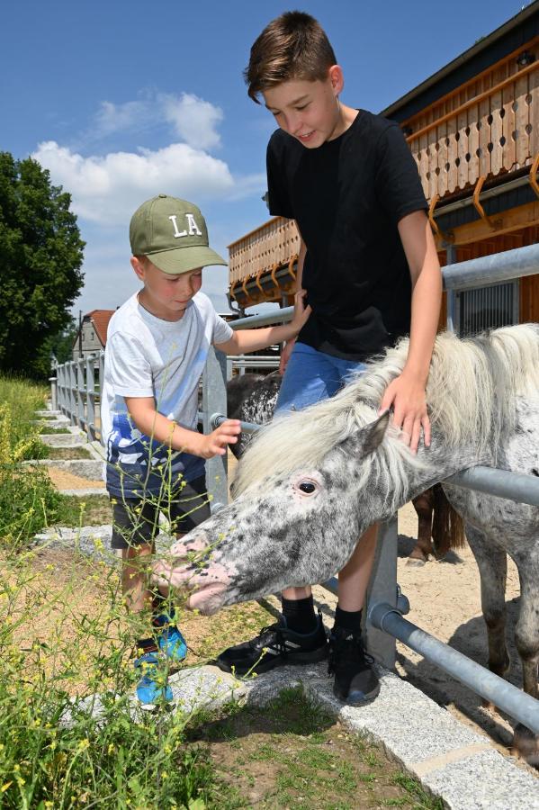 Familien- Und Apartmenthotel Lerchenberghof Walddorf  Exterior foto