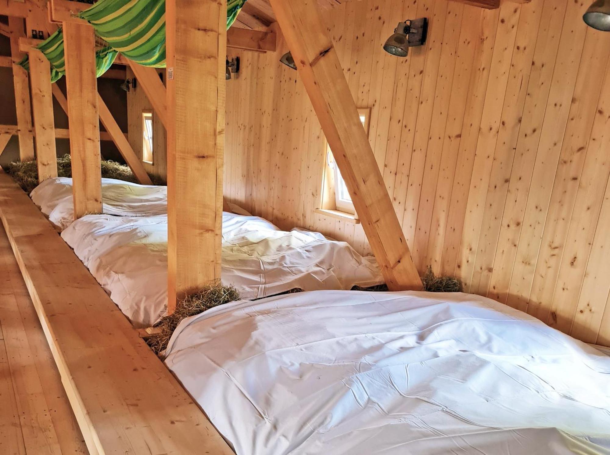 Familien- Und Apartmenthotel Lerchenberghof Walddorf  Quarto foto